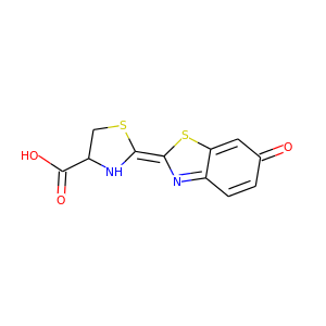 luciferin