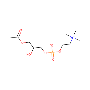 lysophosphatidylcholine