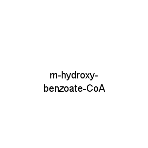 m-hydroxy-benzoate-CoA