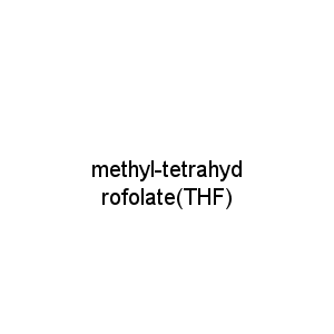 methyl-tetrahydrofolate(THF)
