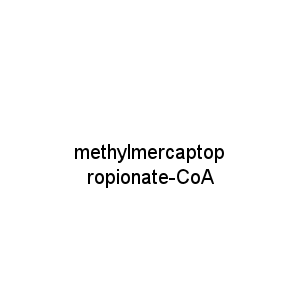 methylmercaptopropionate-CoA