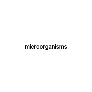 microorganisms