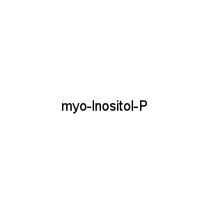 myo-lnositol-P