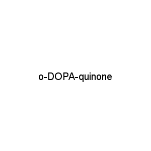 o-DOPA-quinone