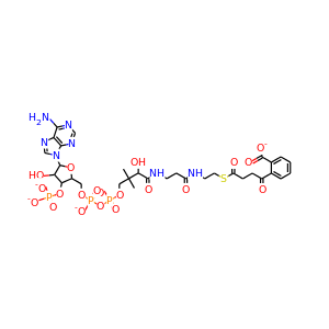 o-succinylbenzoyl-CoA