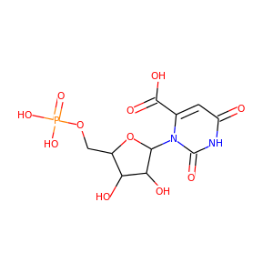orotidine-5'-phosphate