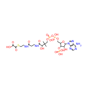 oxalyl-CoA
