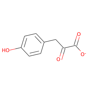 p-Hydroxy-Phenylpyruvate