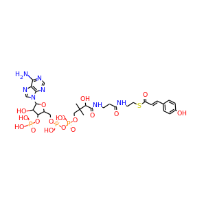 p-coumaroyl-CoA