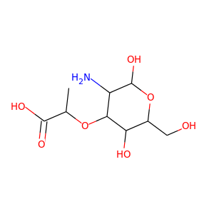 peptidoglycan