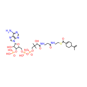 perillyl-CoA