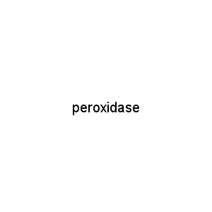 peroxidase