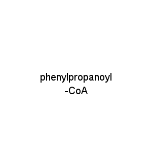 phenylpropanoyl-CoA