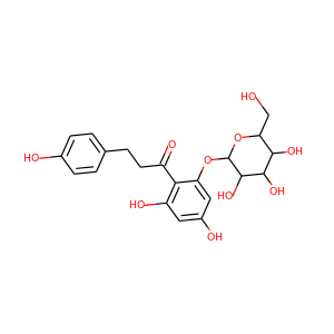 phloridzin