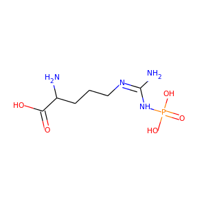 phospho-L-arginine