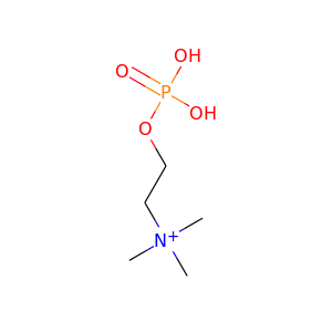 phosphocholine