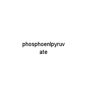 phosphoenlpyruvate