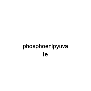 phosphoenlpyuvate
