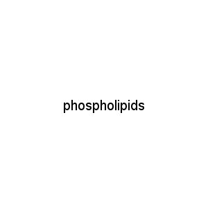 phospholipids