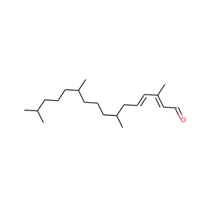 phytonen