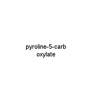 pyroline-5-carboxylate