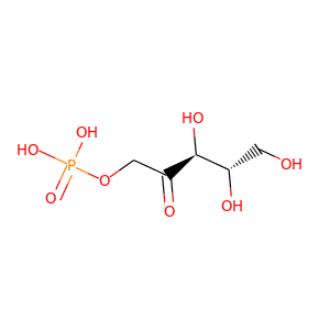 ribose5-phosphate
