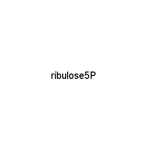 ribulose5P