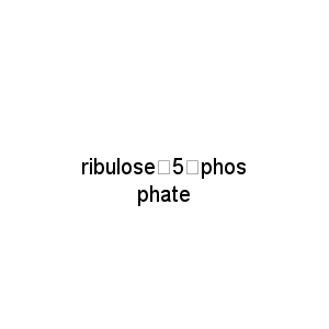 ribulose‑5‑phosphate