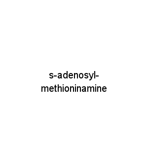 s-adenosyl-methioninamine