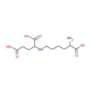 saccharopine