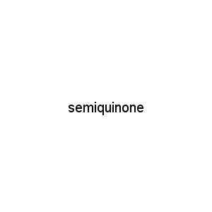 semiquinone
