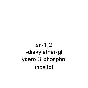 sn-1,2-diakylether-glycero-3-phosphoinositol