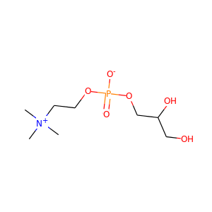 sn-glycero-3-phosphocholine