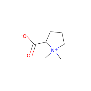 stachydrine