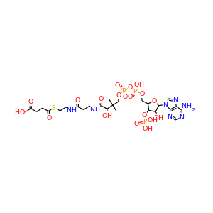 succinyl-CoA
