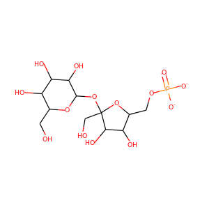 sucrose-6-P