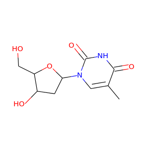 thymidine