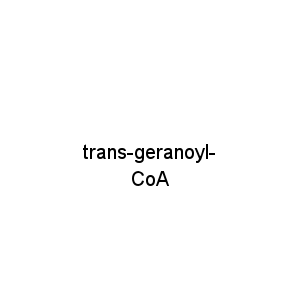 trans-geranoyl-CoA