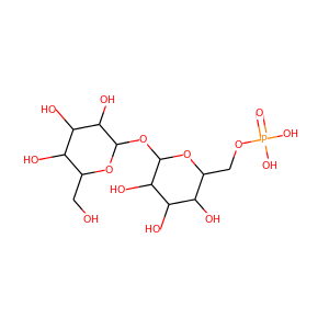 trehalose-6-phosphate