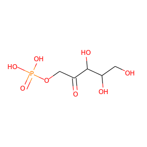 xylose-5-phosphate