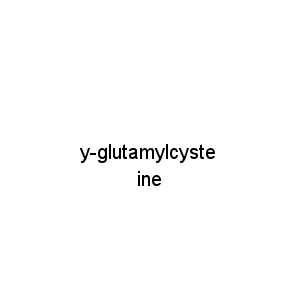 y-glutamylcysteine