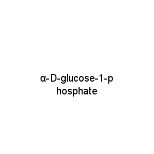 α-D-glucose-1-phosphate