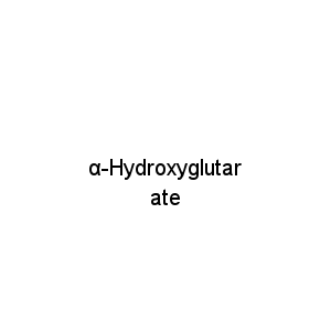 α-Hydroxyglutarate