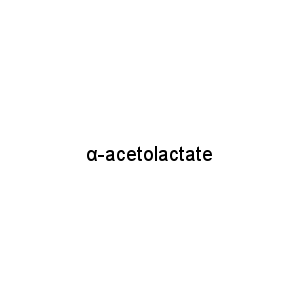 α-acetolactate
