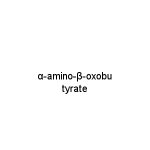 α-amino-β-oxobutyrate