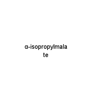 α-isopropylmalate