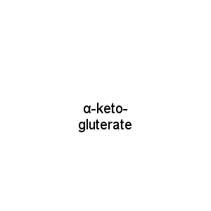 α-keto-gluterate