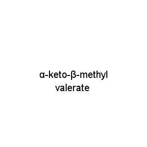 α-keto-β-methylvalerate