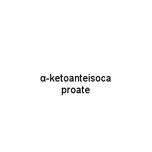 α-ketoanteisocaproate
