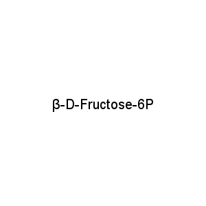 β-D-Fructose-6P